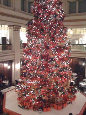 2008tree.jpg