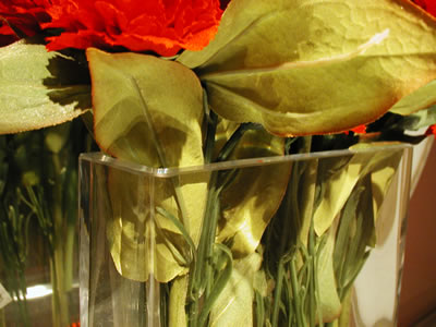 flowers060701c.JPG