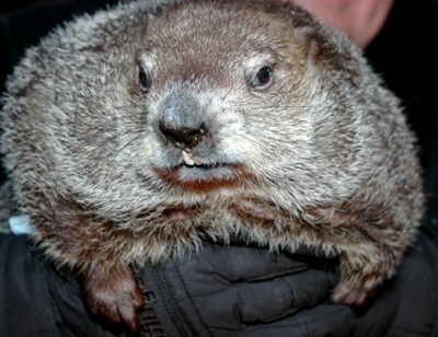 phil