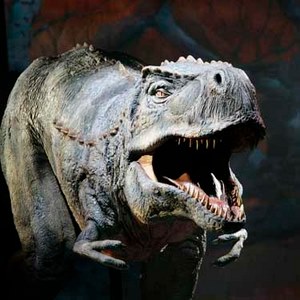 SUN0125 Dinos