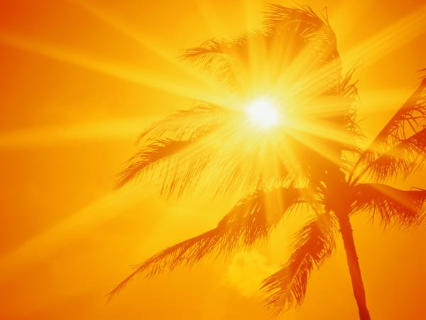 Some Like It (Alarmingly) Hot