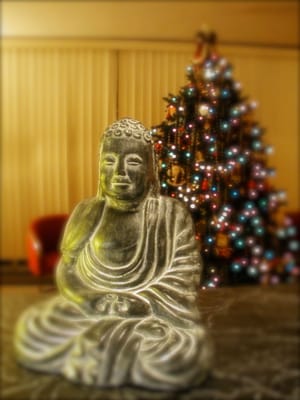 Metta Message